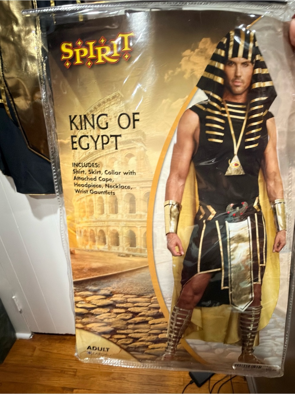 Spirit King of Egypt Adult Costume - Black and Gold